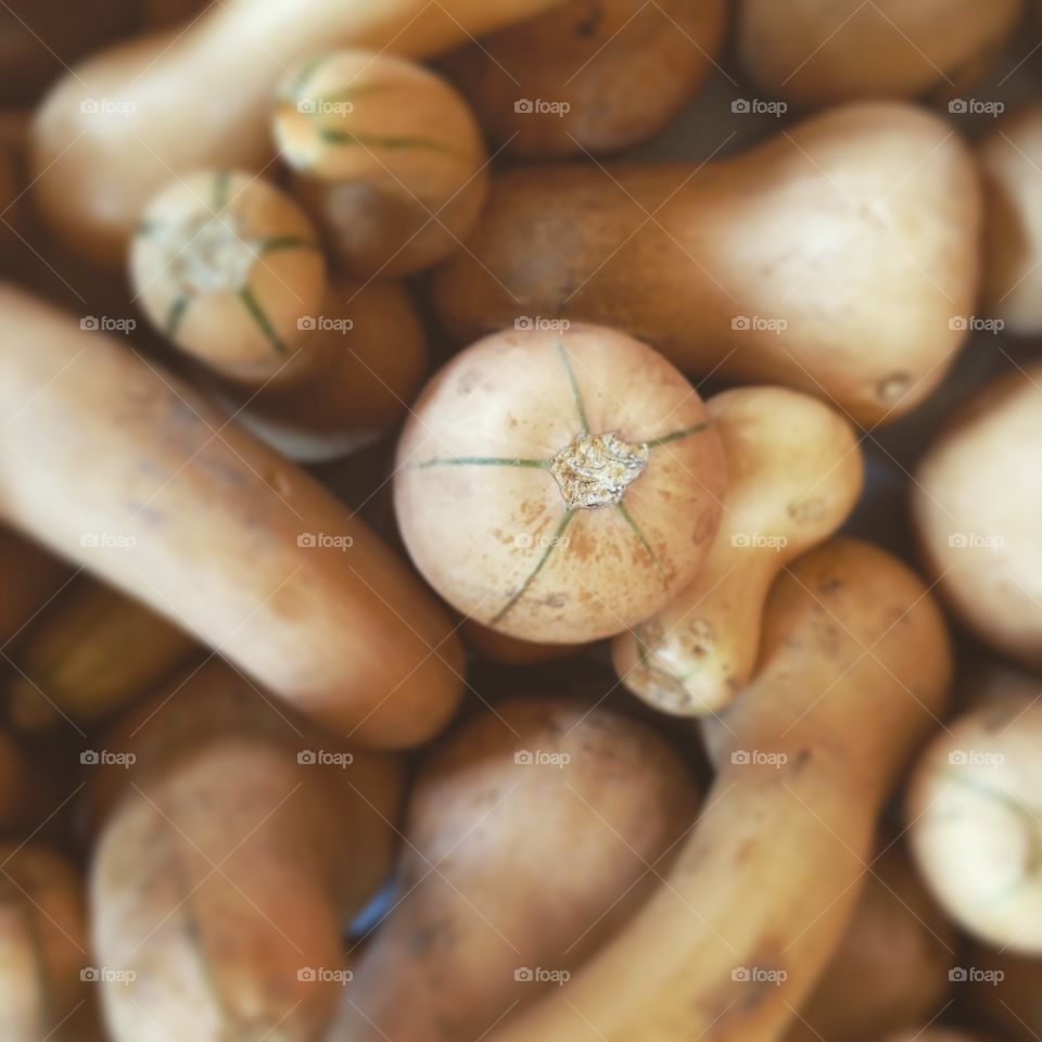 Food, Fall, Vegetable, Desktop, No Person
