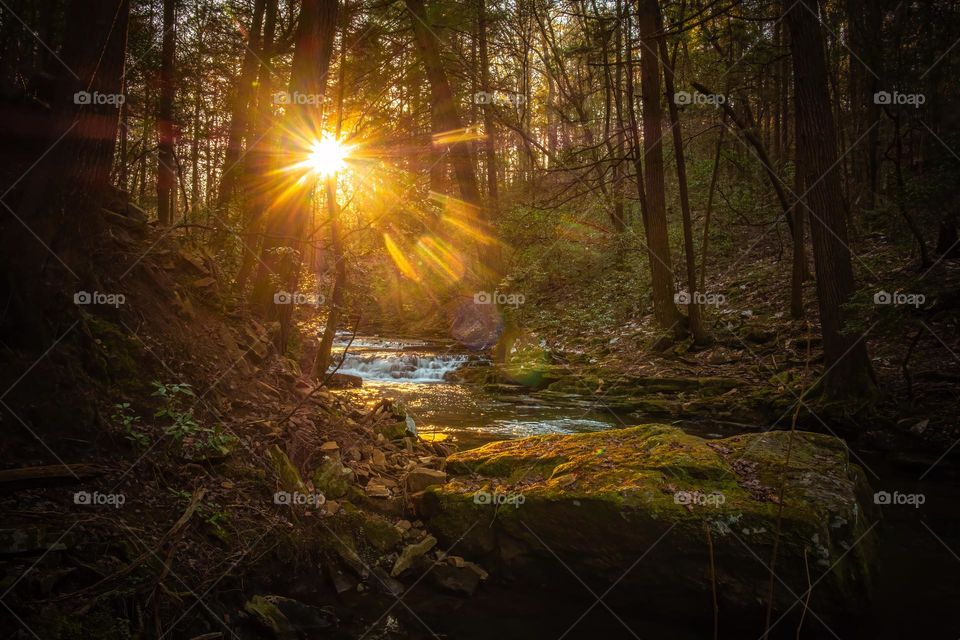 I fine morning in deep in the forest. Fiery Gizzard Trail on Cumberland Plateau in Tennessee, USA. 