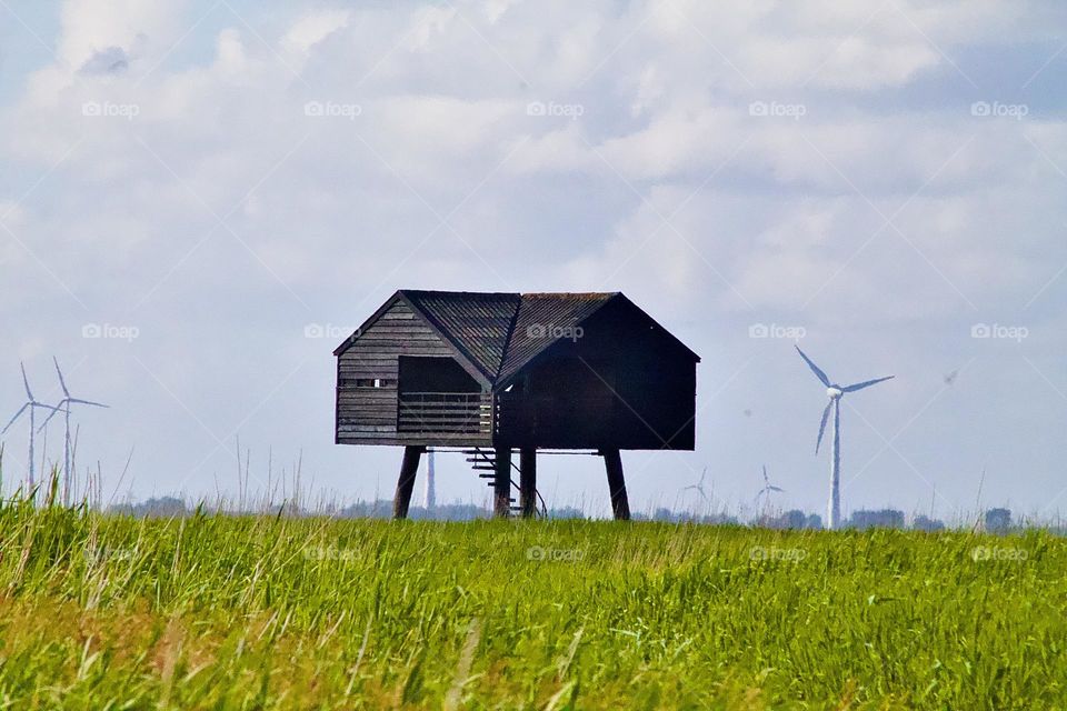 Haus auf dem Feld