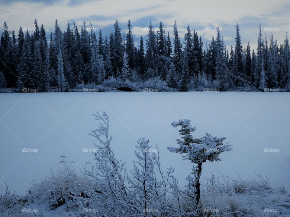 Frozen pond