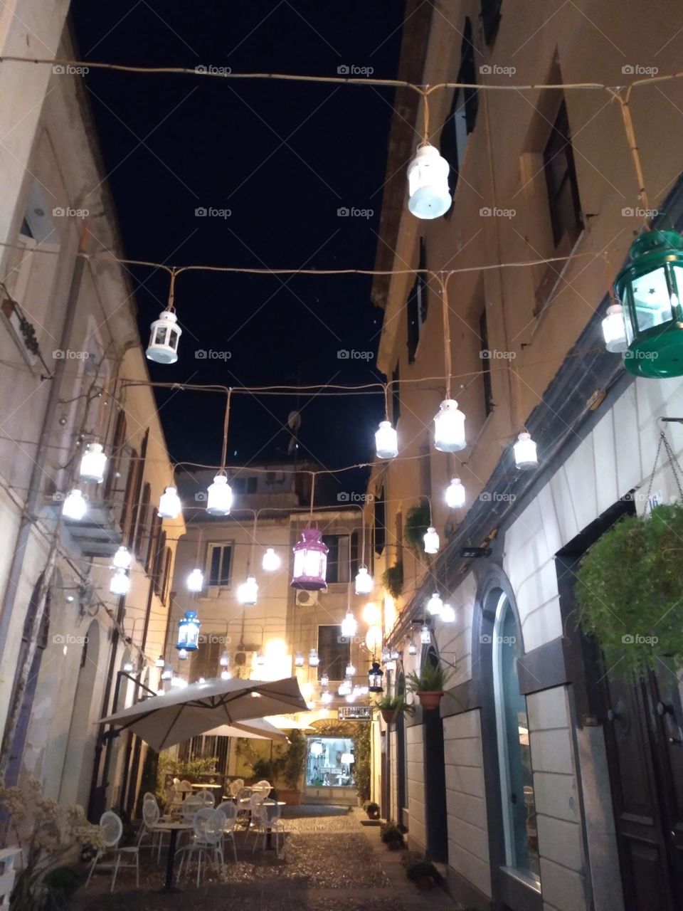 Editors' Choice - Photo of the Week