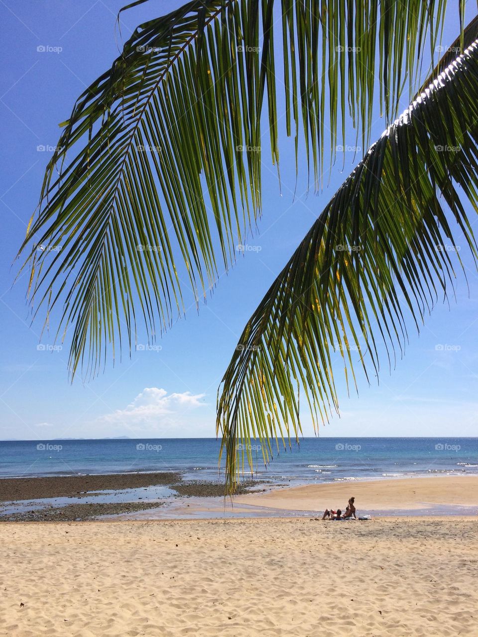 Tioman Island nature reserve area