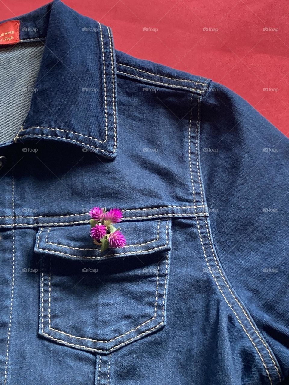 Flores pink de perpétua com algumas folhinhas verdes dentro do bolso da jaqueta jeans azul. Flor substituindo o botão. Fundo vermelho.