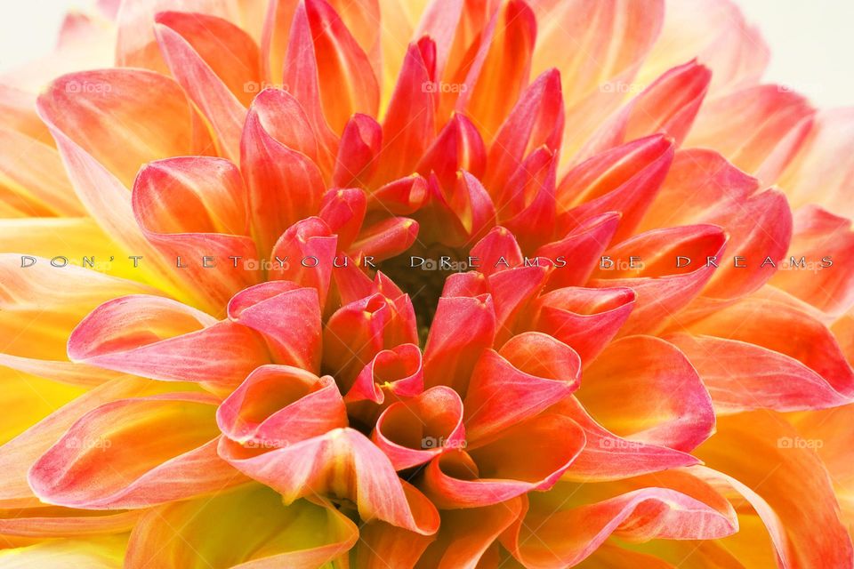 Quotes and sayings words about real life talking with you texted spiritual Healing inspiration motivation think about it make things done