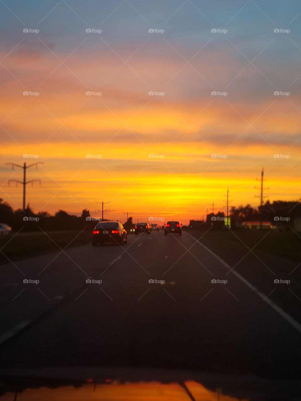 homeward bound sunset