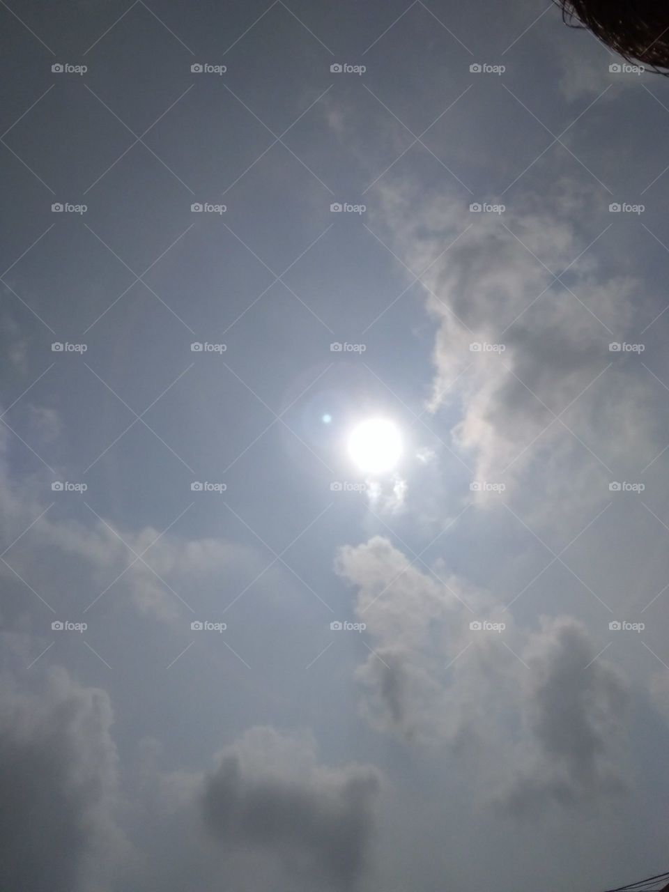 lovely sun in day time