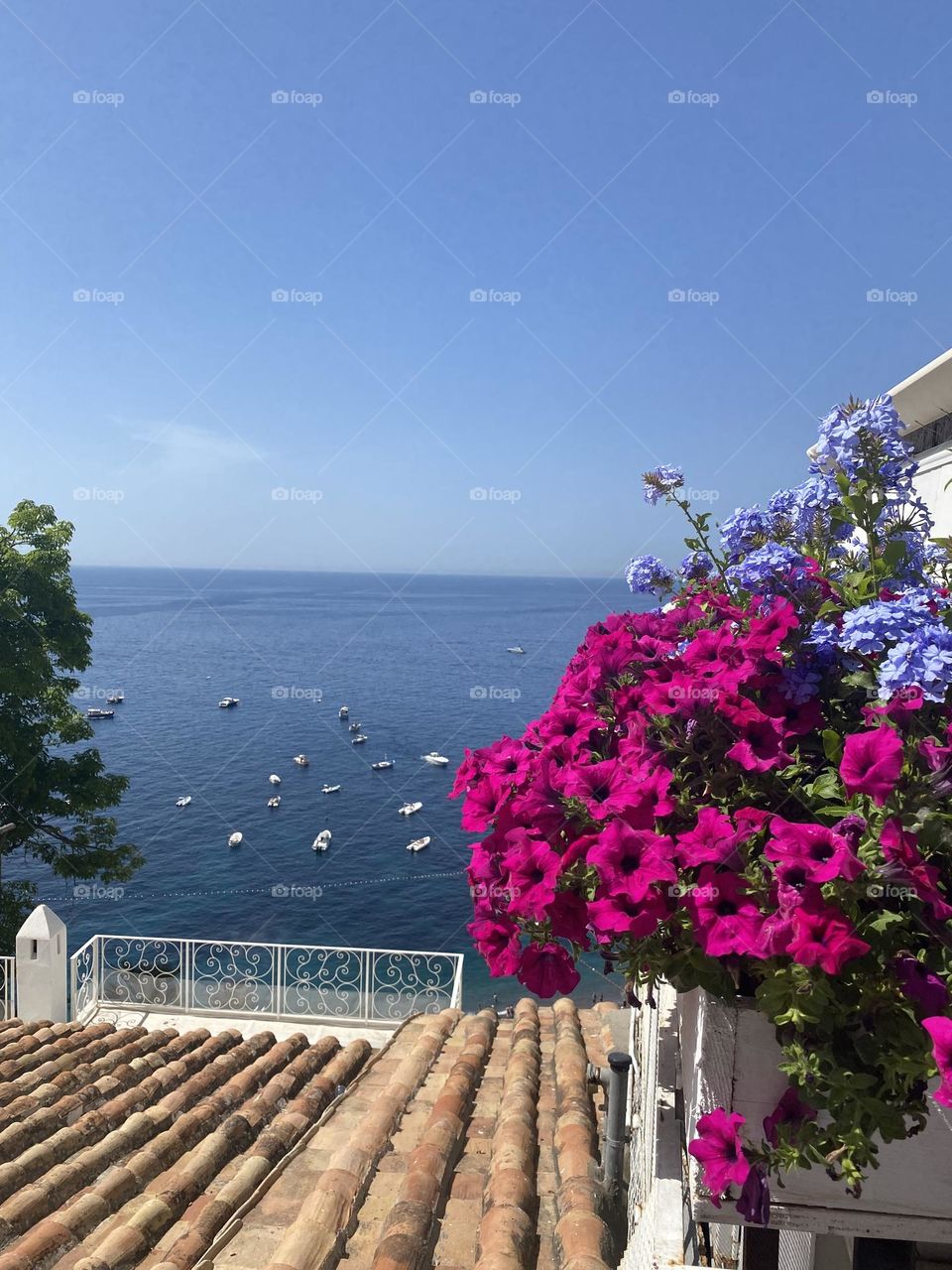 Positano view with blooming flowers 