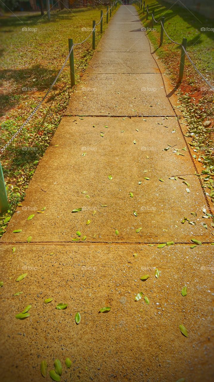 rua caminho - street path