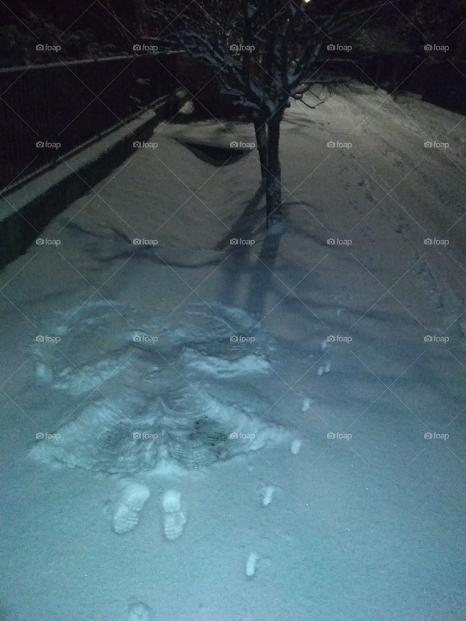 a perfect snow angel with cat footprints beside it