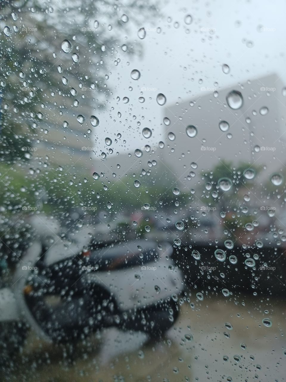 Looking out the window on a rainy day.