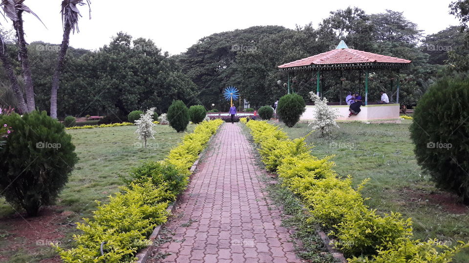 an evening in the park