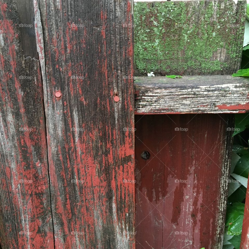 Old fence