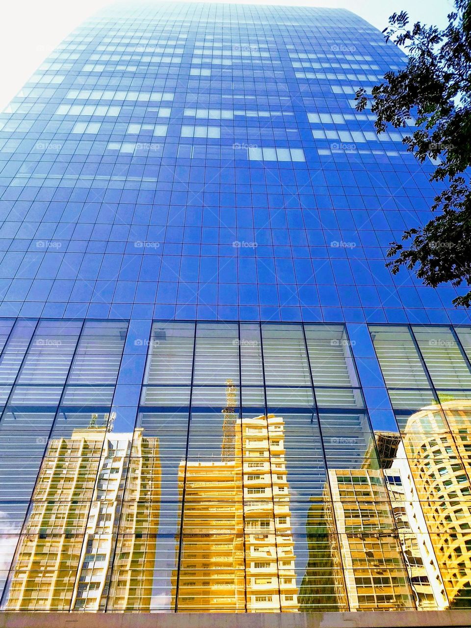 Buildings seen from the ground up