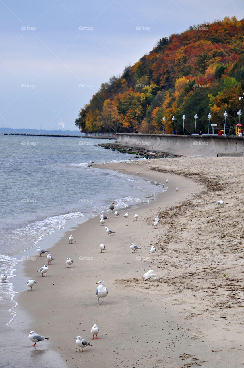 Autumn beach view 