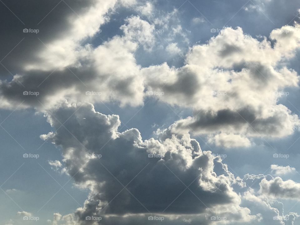 Clouds on a sunny summer day. 