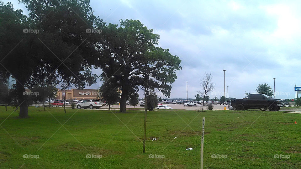 parking lot. i took this picture outside the store my dad was visiting