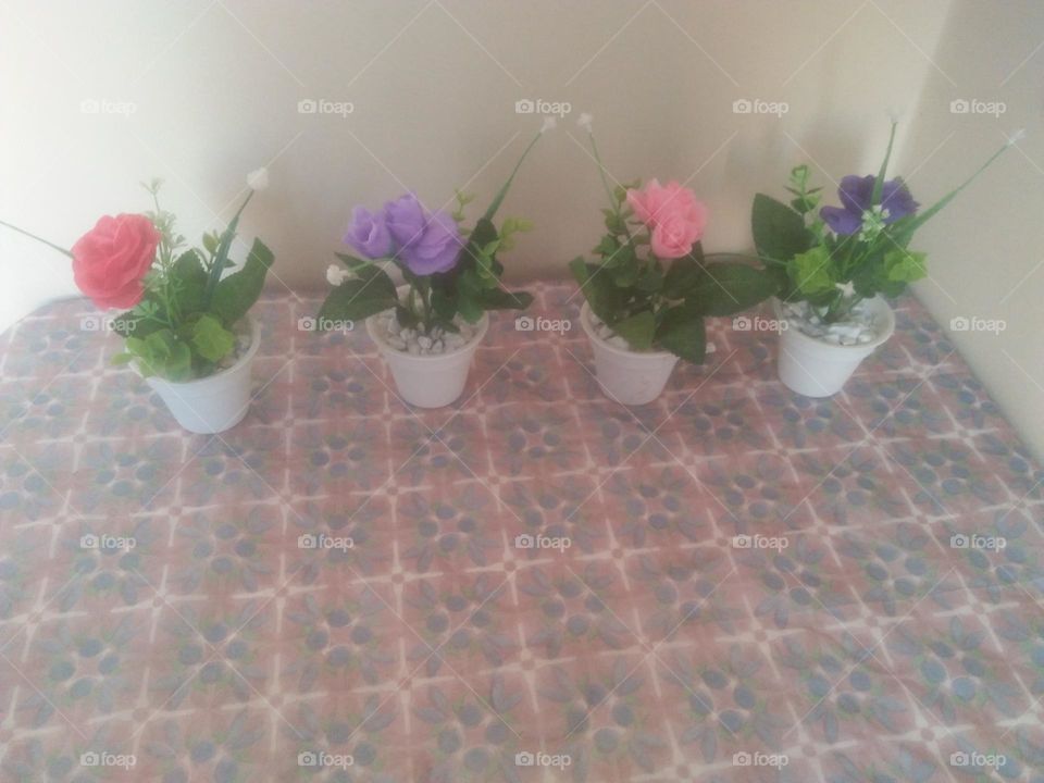 Flowers in vases