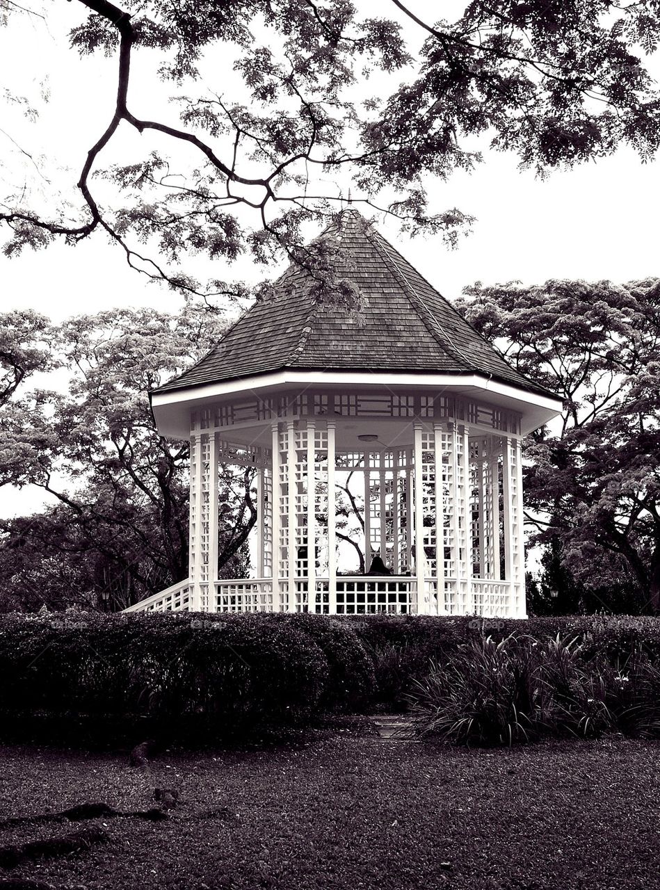 Pavilion
