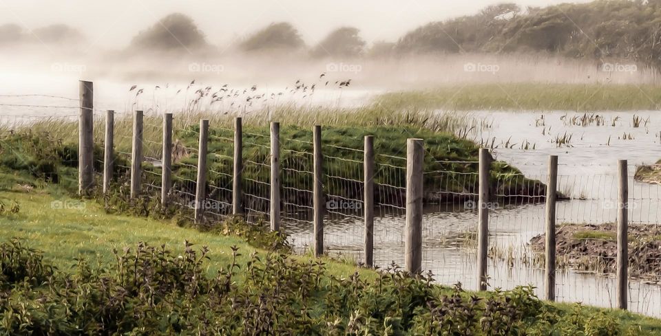 Rural misty scene over fields a water