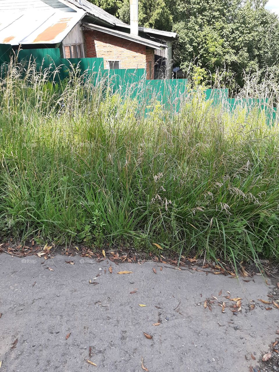 Возле  дома   тоже   прелесть!