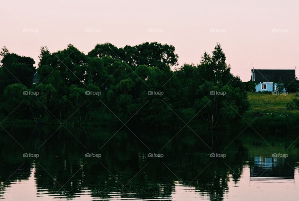 Summer lake and nature