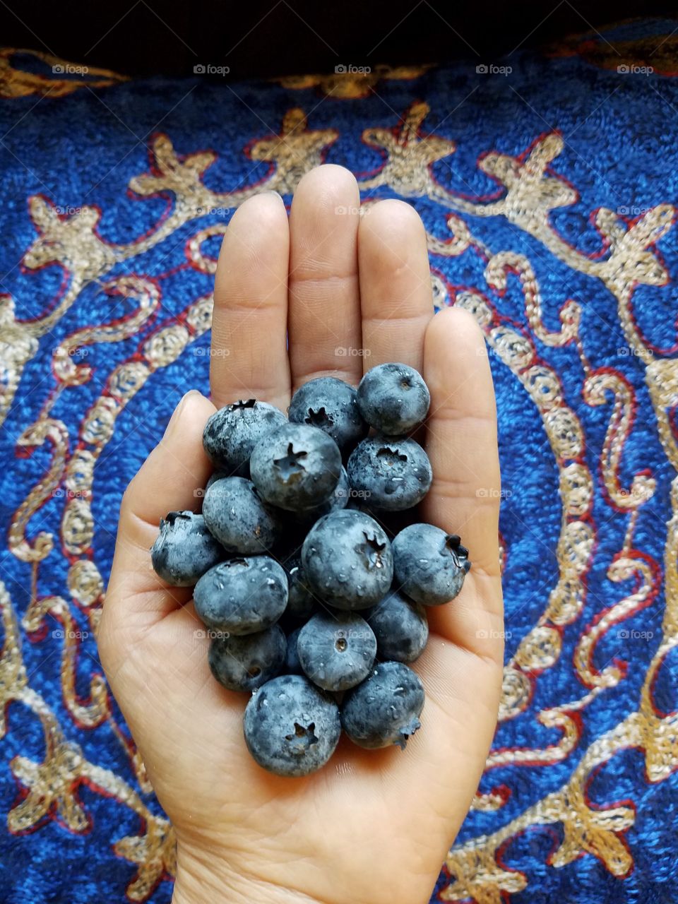 Holding blueberries