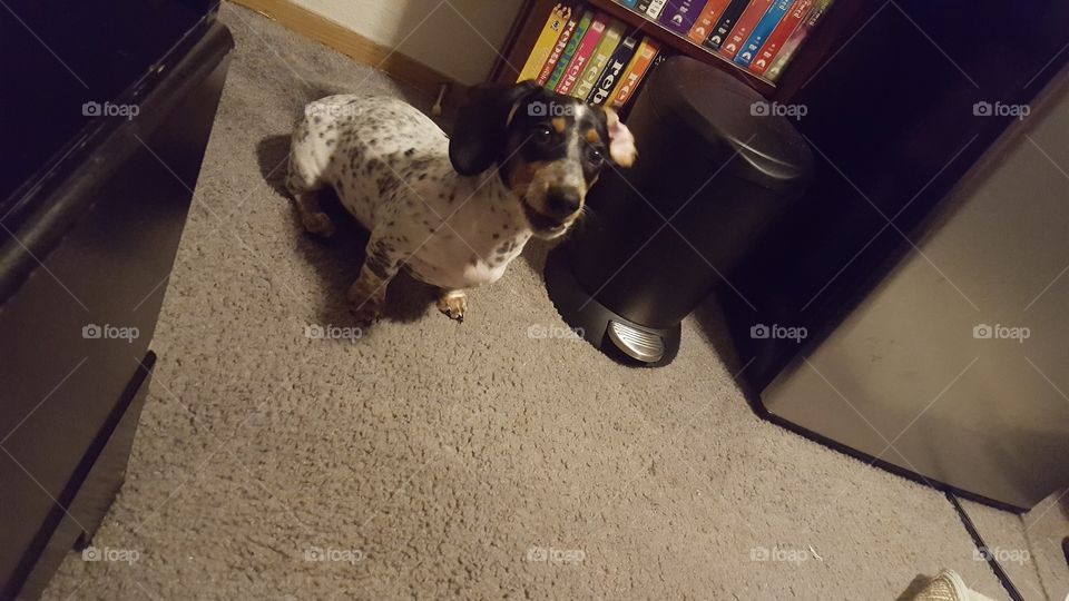 Mom, I want some of what you have