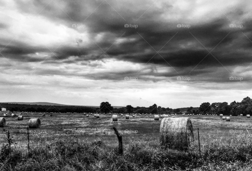 B/W hay and storm