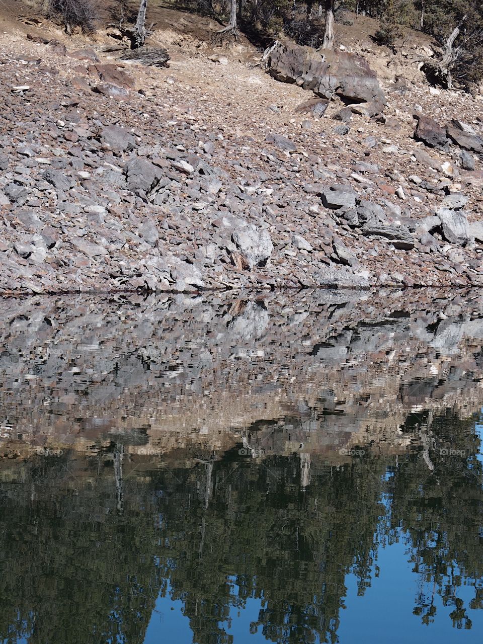 Trees and rocks on the steep slopes of the shores of Ochoco Reservoir in Central Oregon reflect in the glasslike waters on a beautiful sunny spring day with clear blue skies. 