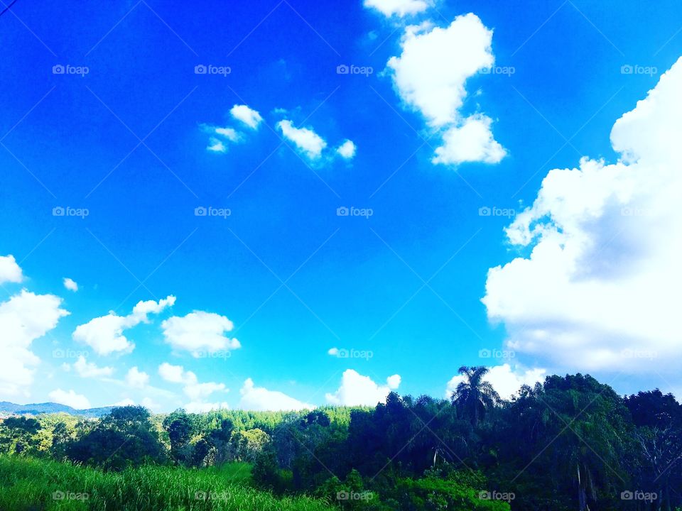 Chega de trabalhar no #feriado. S’imbora descansar no coração da #SerraDoJapi (ou melhor: “filar o almoço na casa da Sogra e do Sogro”).
😋
#natureza #paisagem #céu #fotografia #azul #Jundiaí #AmoJundiaí #FotografeiEmJundiaí