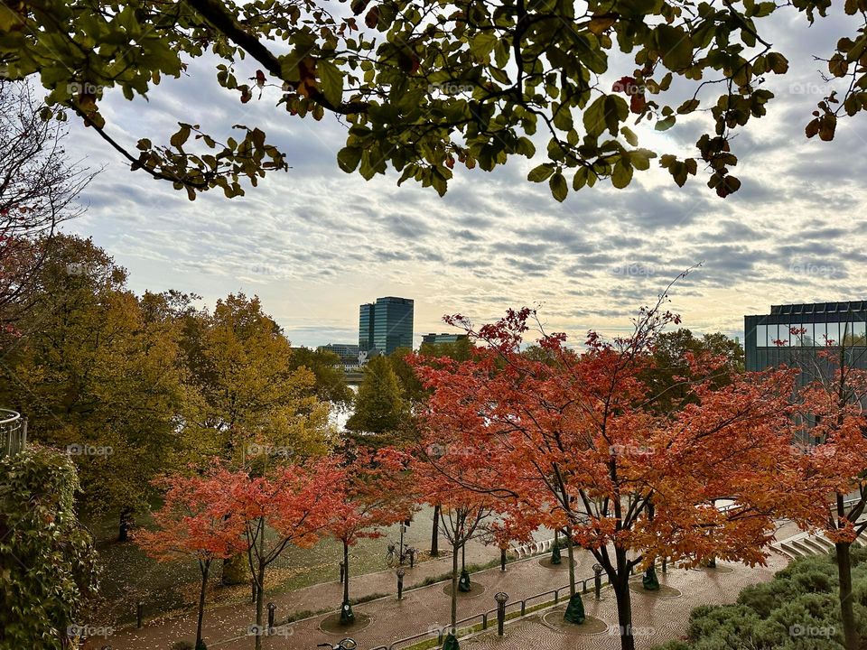 Autumn in the city 