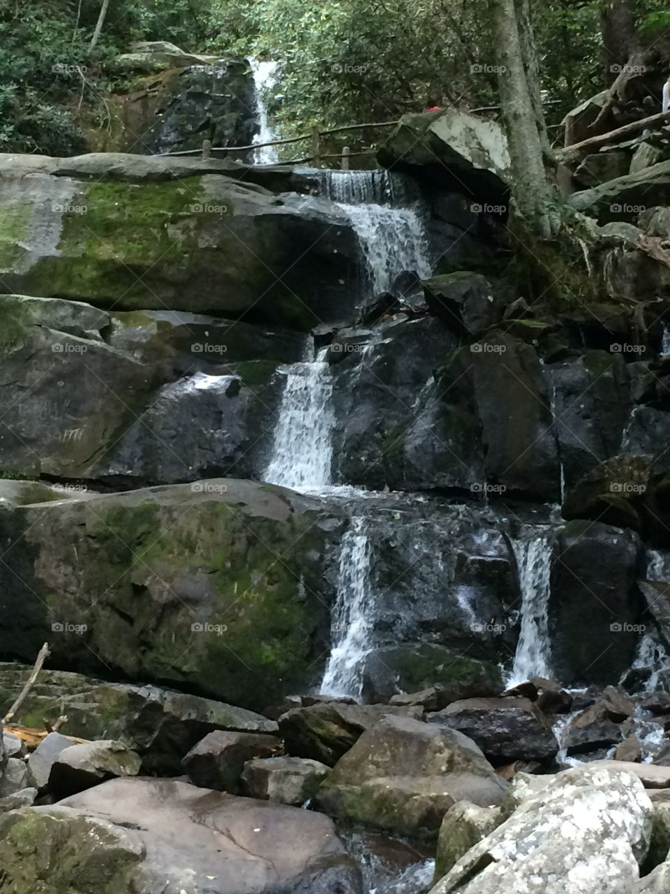 Smoky mountain waterfall. 1.3 mile hike to see these falls in the Smoky Mountains outside of Gatlinburg TN. 