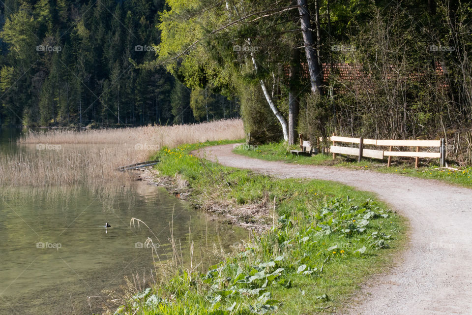 Footpath around the lake