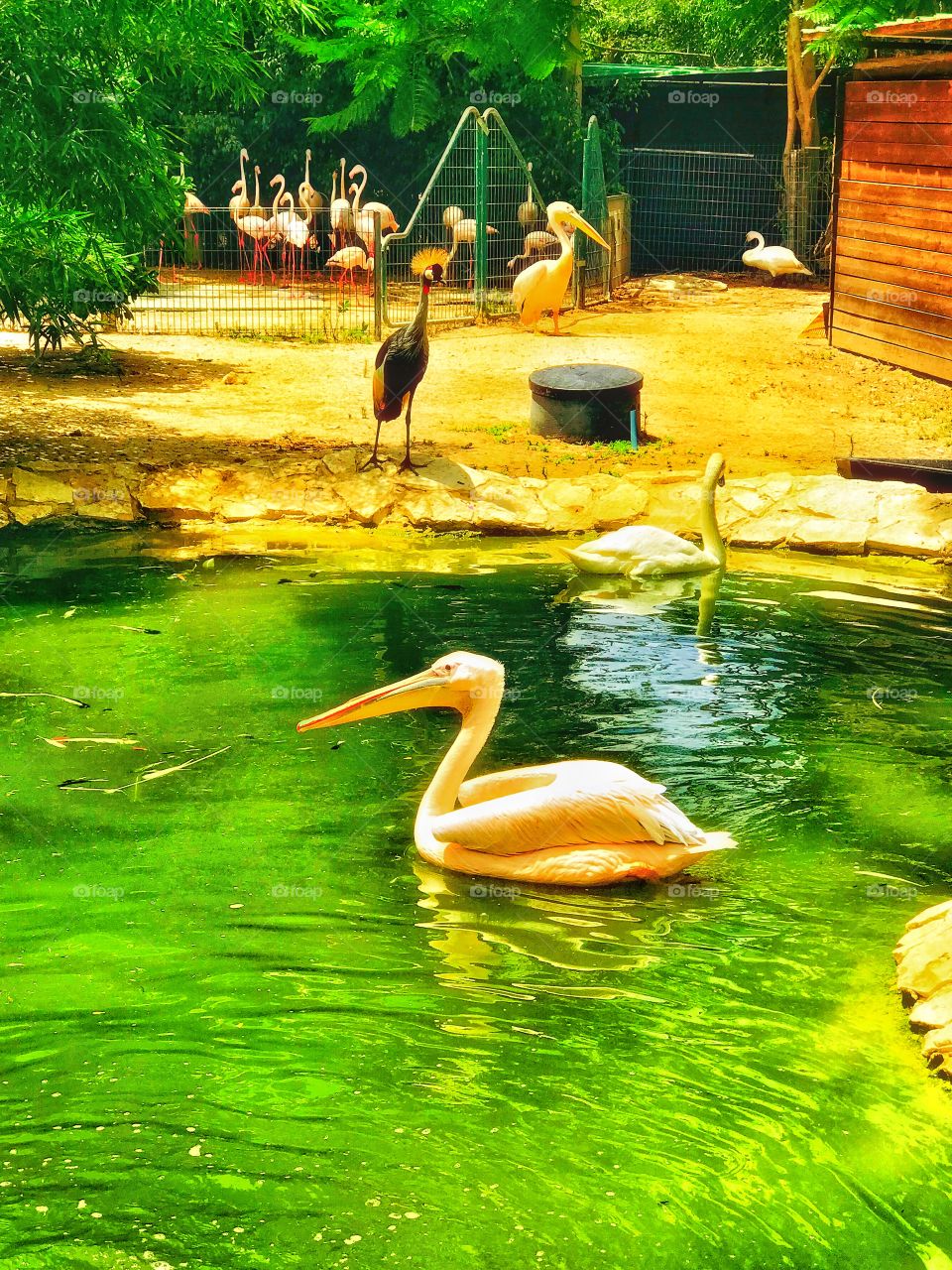 Beautiful zoo.