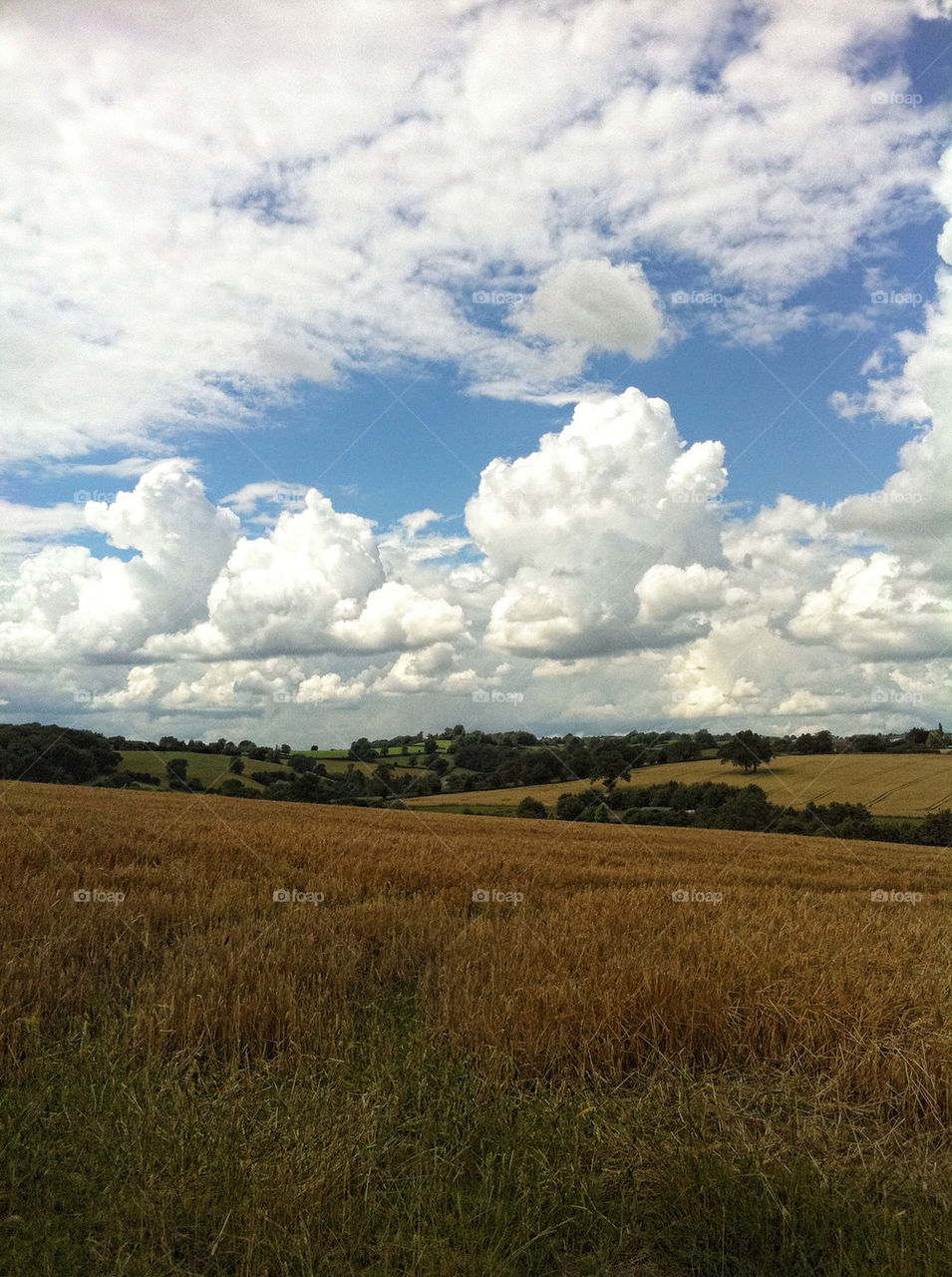 sky field summer clouds by chris7ben