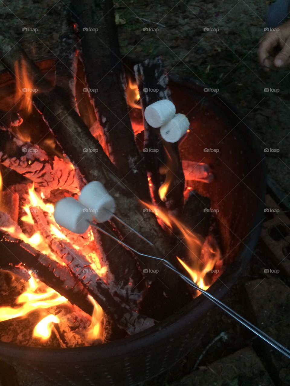 Roasting marshmallows with friends 
