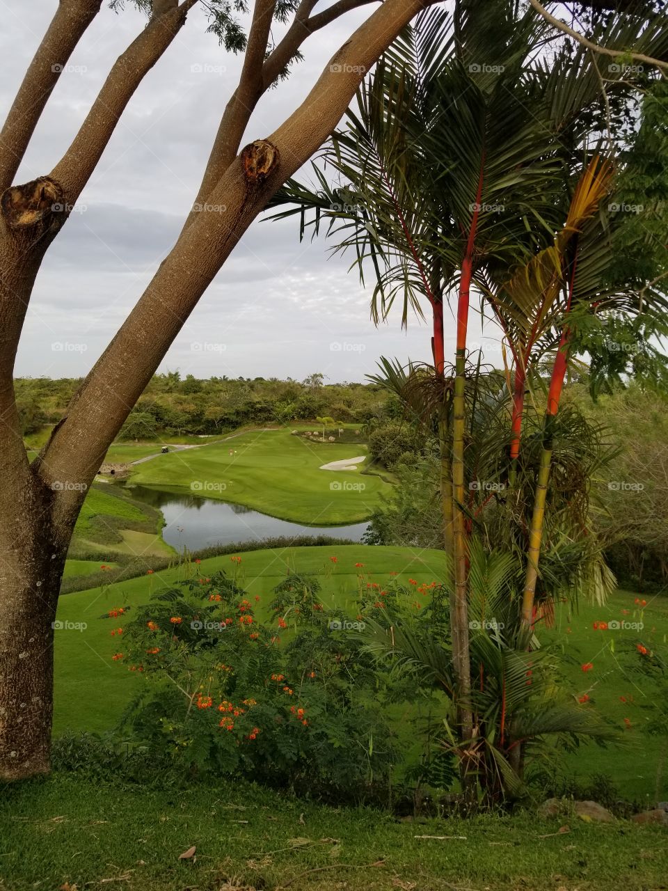 Panama Golf Vista