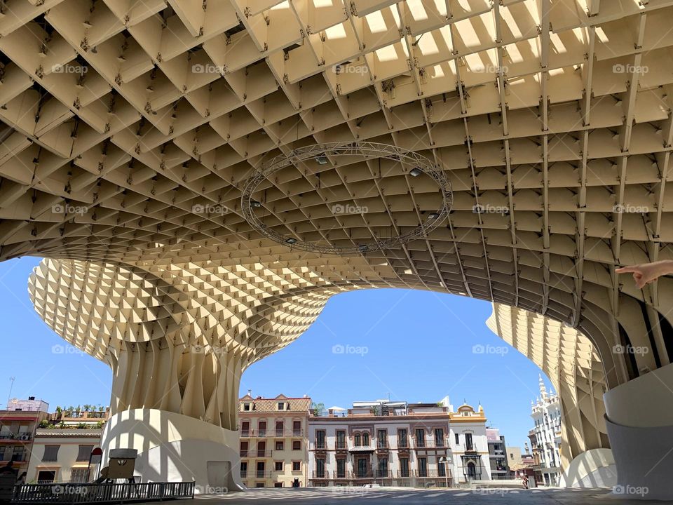 Setas de Sevilla 