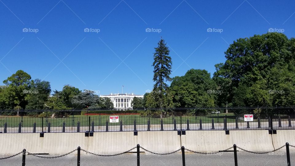 No Person, Tree, Outdoors, Water, Fence