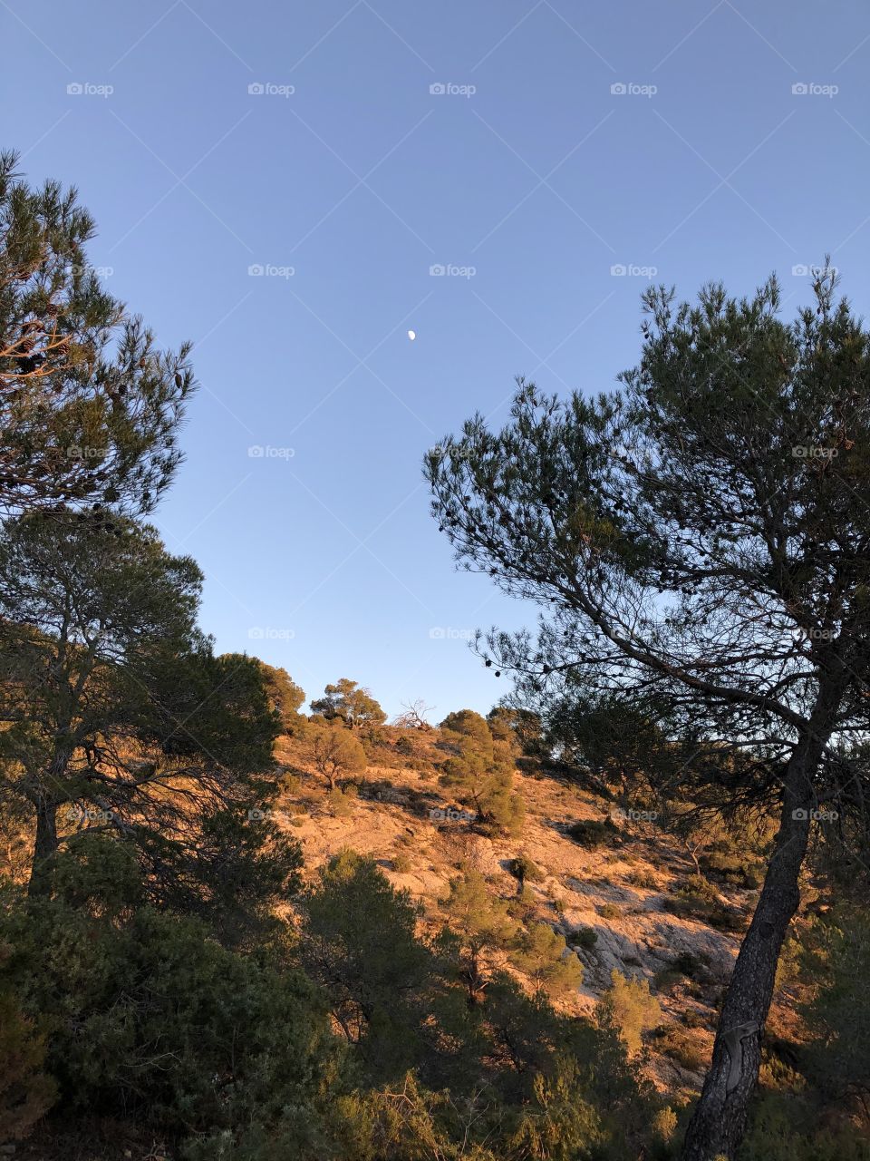 Night moon mountain view