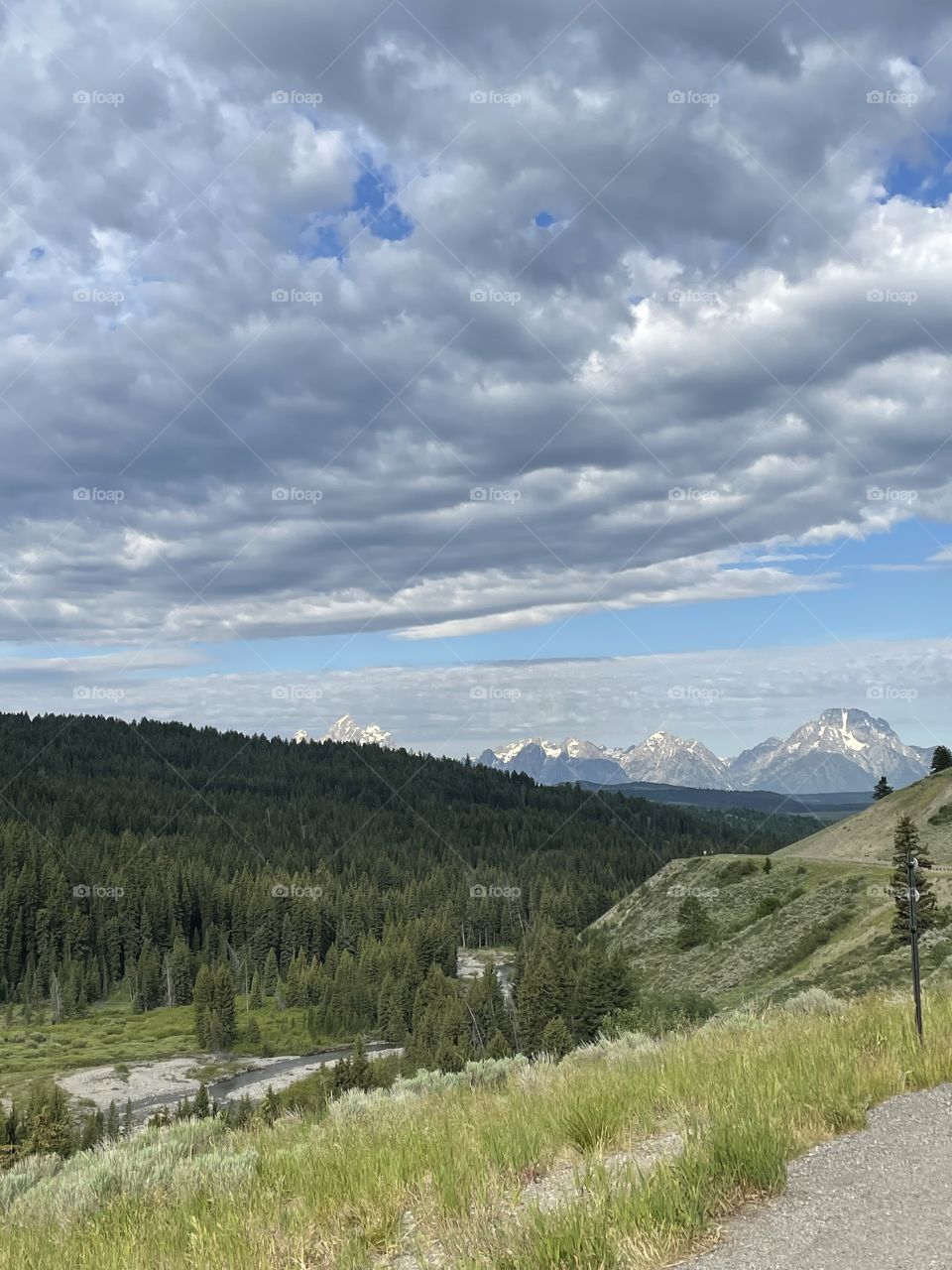 Landscape Mountain sky skies forest trees river view scenic outdoors