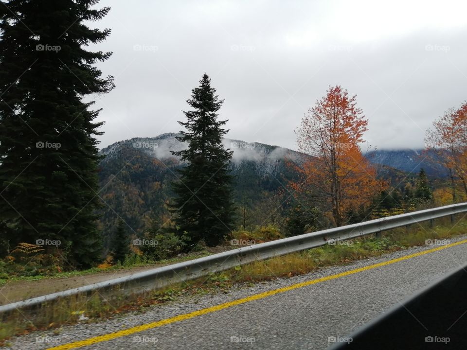 Autumn in the mountain