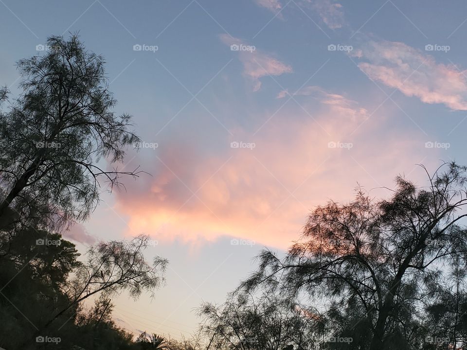 pink clouds