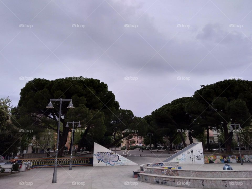 Editors' Choice: Photo of the Week