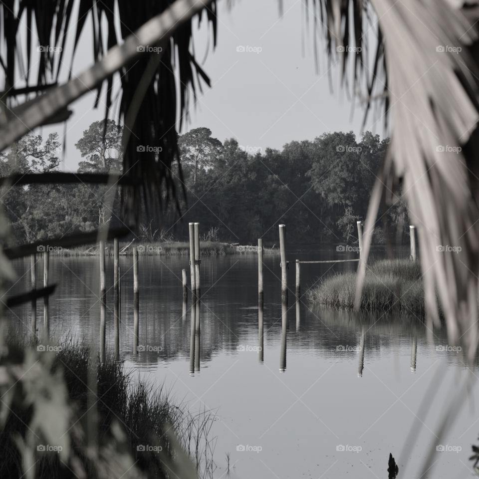 Wooden post in lake