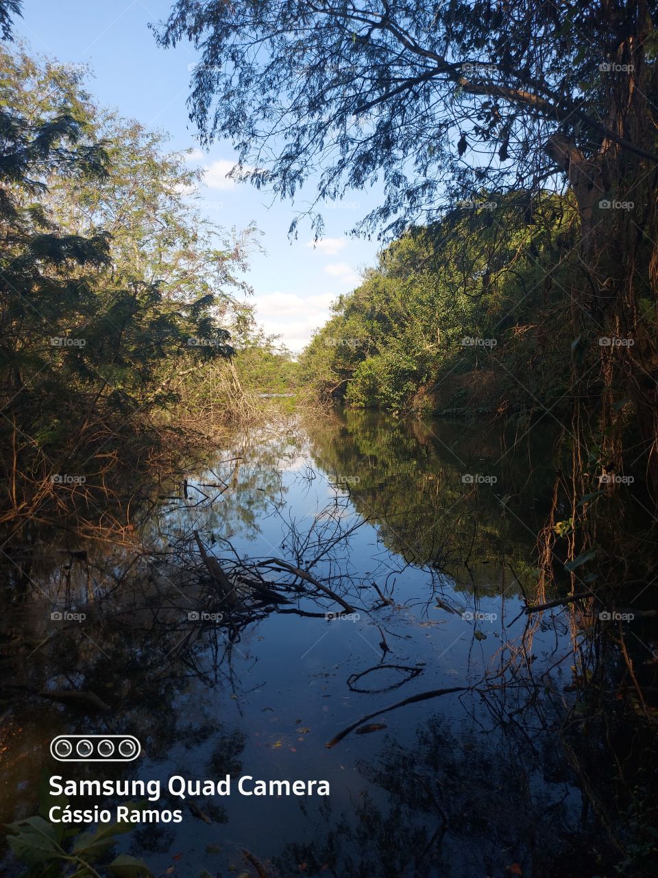 tudo pode passar menos isso