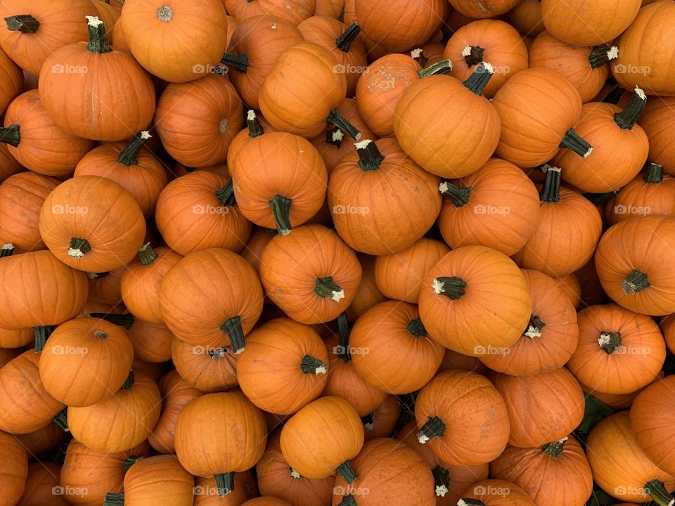 Pumpkins