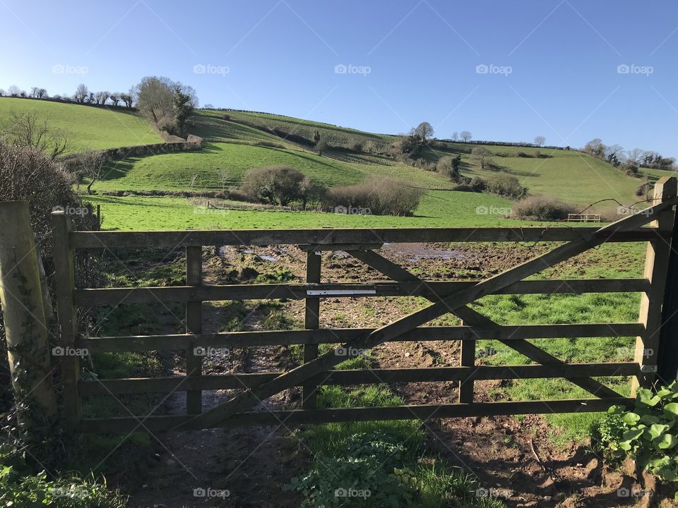 Superb Winter sunshine in picturesque Coffinswell, Devon yesterday. Love the rolling hills with the sun beaming down on them.