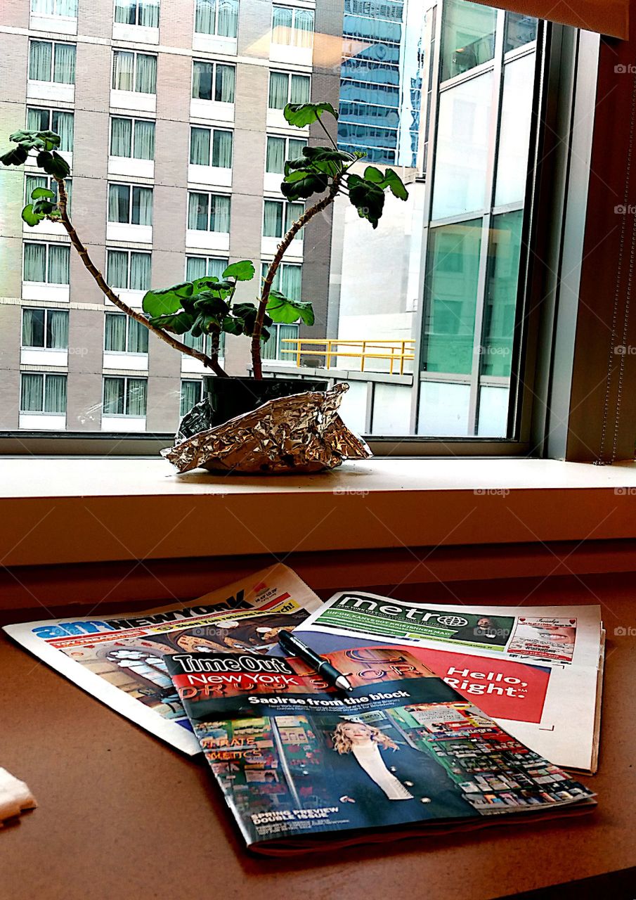 Business, Street, Landscape, House, People