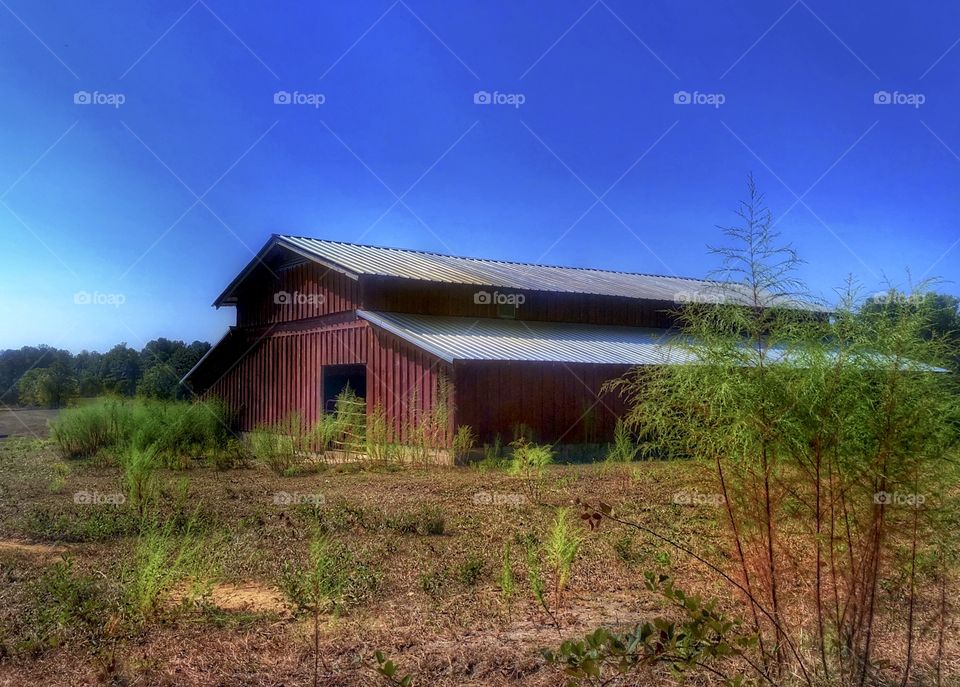 Old Barn In Field Close up